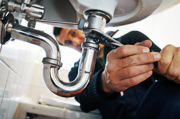 Best Local Plumber Services  in El Cenizo, TX