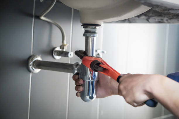 Best Affordable Plumbing Services  in El Cenizo, TX
