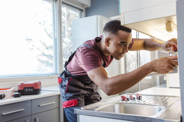 Best Plumbing Inspection Services  in El Cenizo, TX